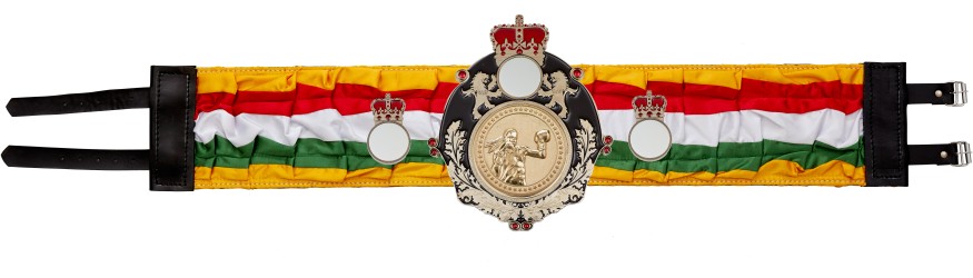 QUEENSBURY FEMALE BOXING SILK CHAMPIONSHIP BELT - QUEEN/B/FEMBOXG/SILK - AVAILABLE IN 6 COLOURS